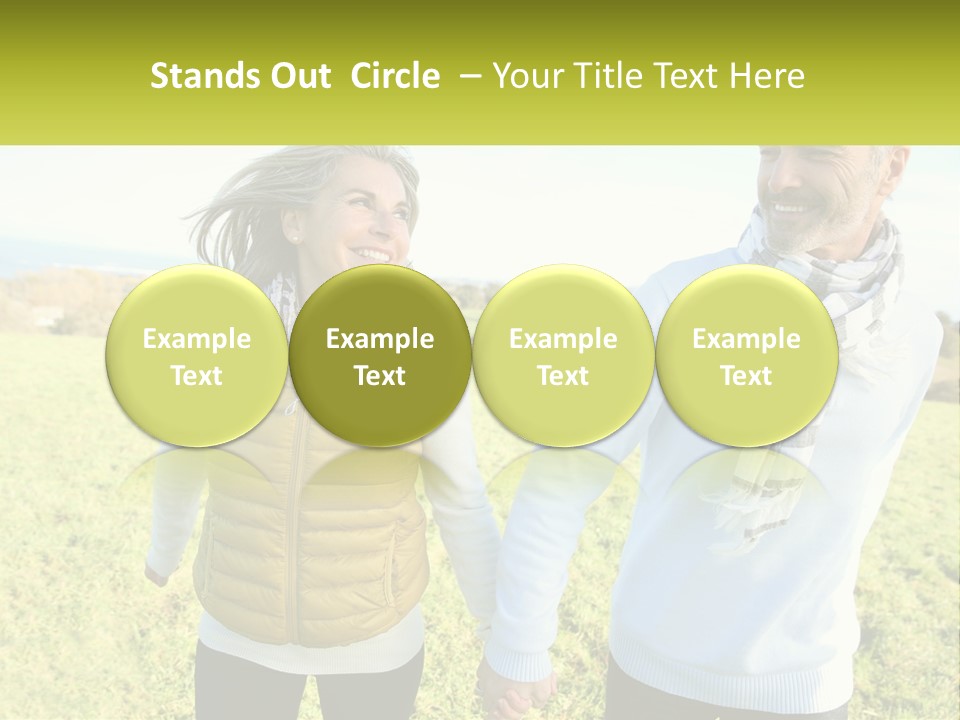 House System Condition PowerPoint Template
