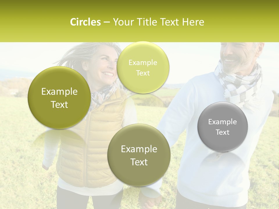 House System Condition PowerPoint Template