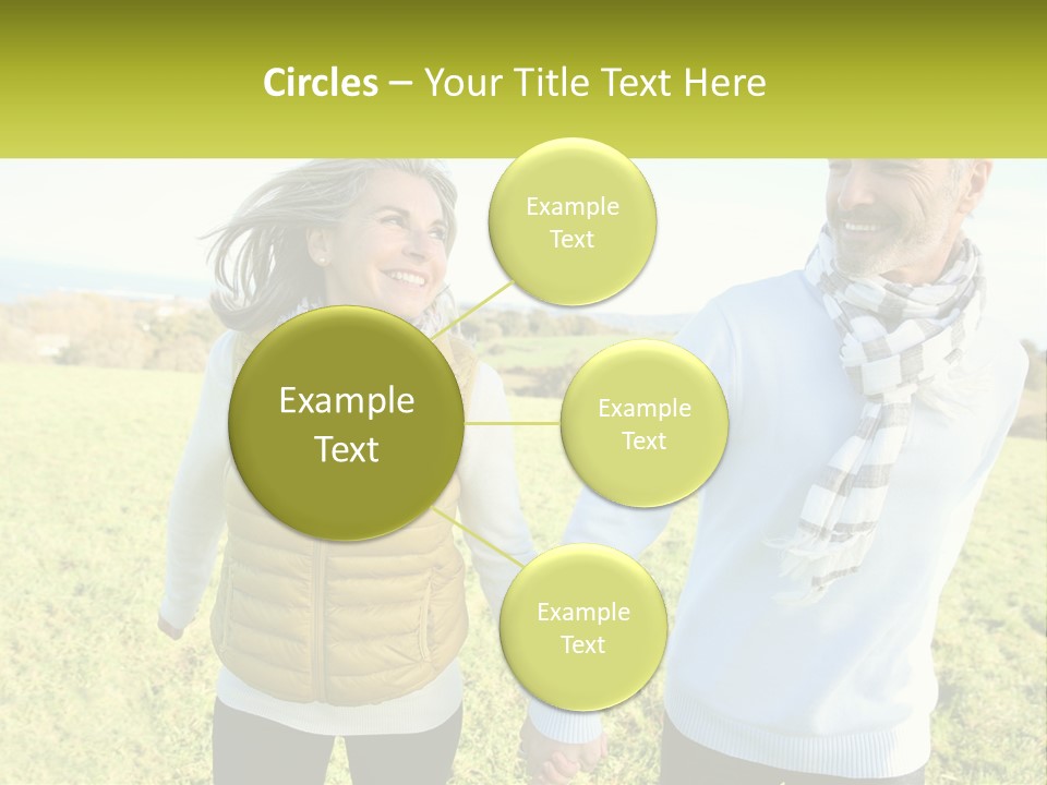 House System Condition PowerPoint Template
