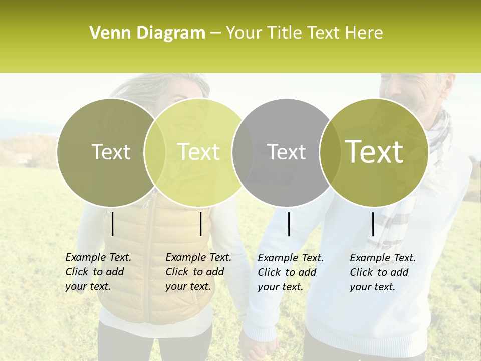 House System Condition PowerPoint Template