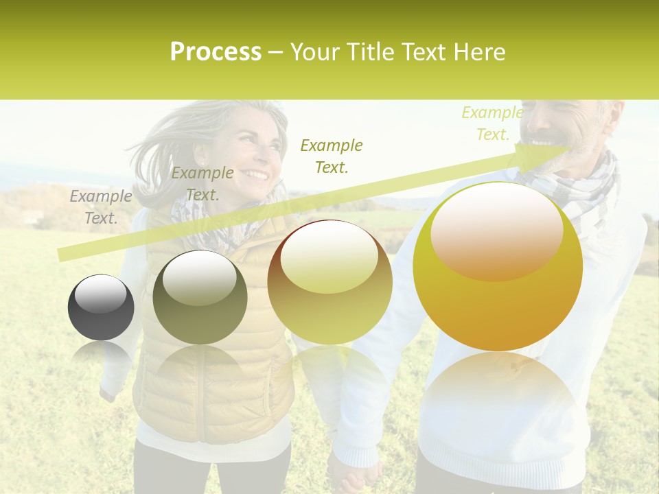 House System Condition PowerPoint Template