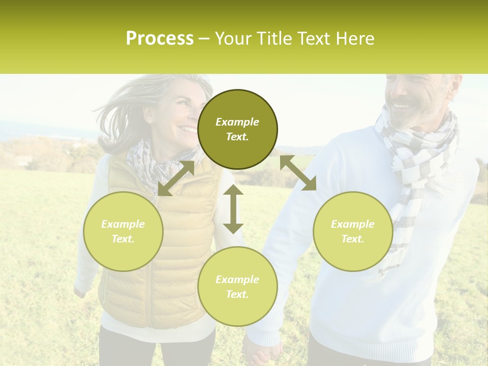 House System Condition PowerPoint Template