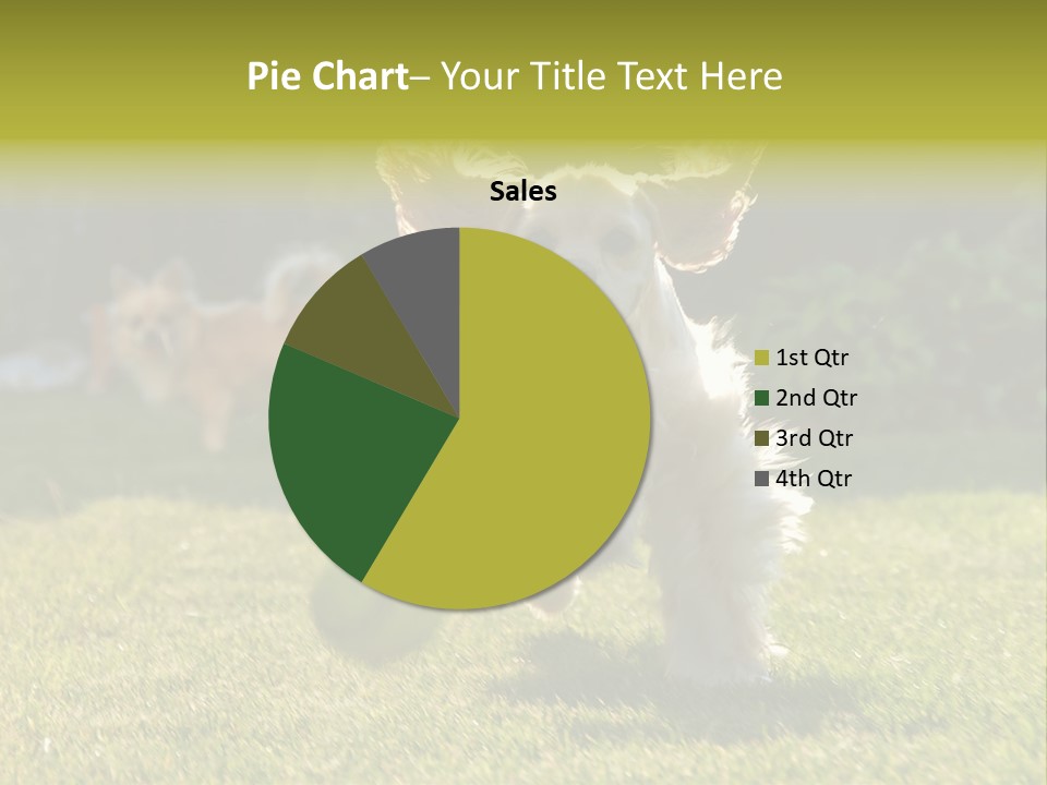 Conditioner Electricity Cool PowerPoint Template