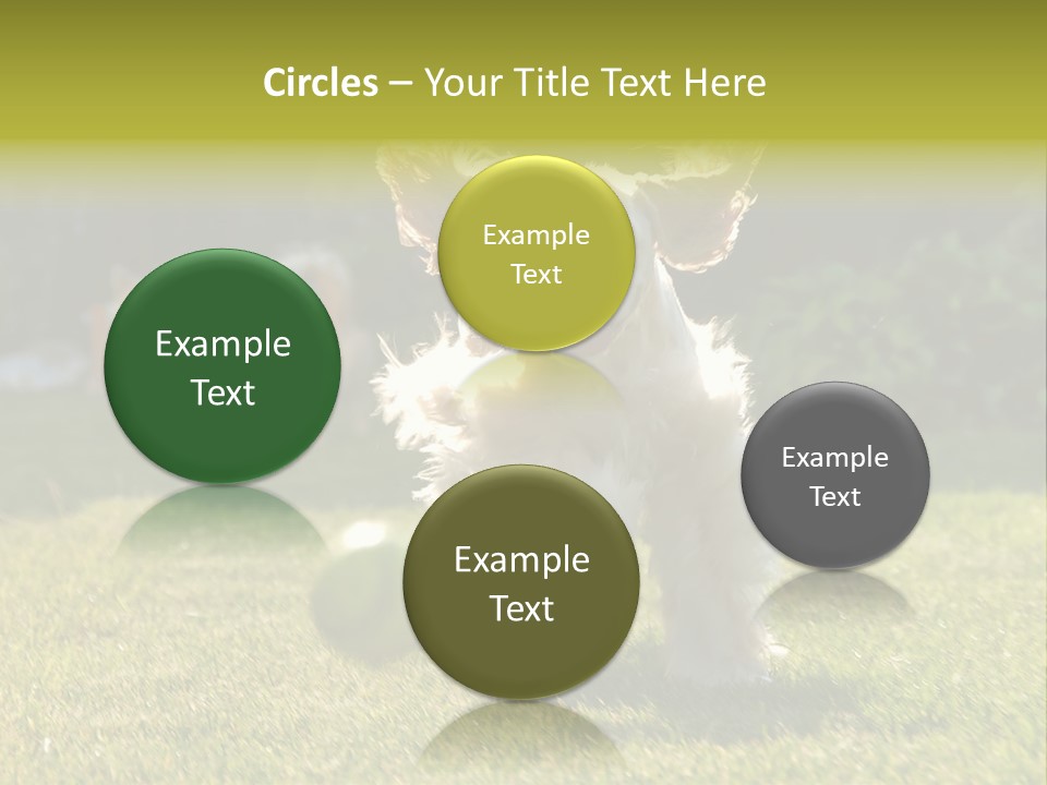 Conditioner Electricity Cool PowerPoint Template