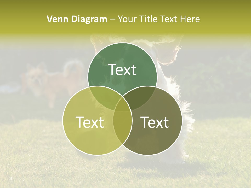 Conditioner Electricity Cool PowerPoint Template