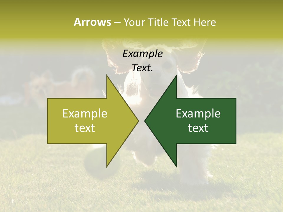 Conditioner Electricity Cool PowerPoint Template