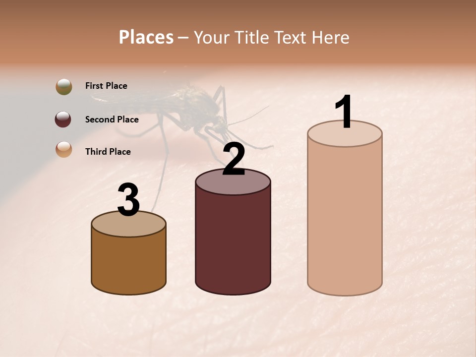 System Condition Conditioner PowerPoint Template