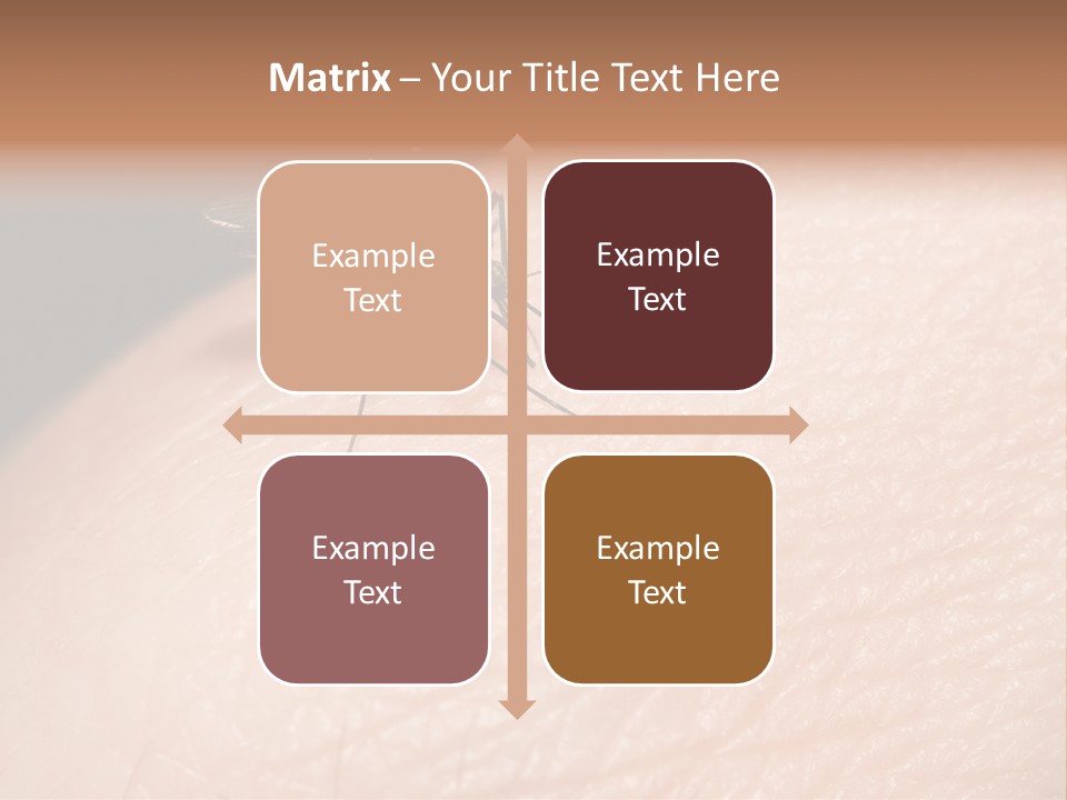 System Condition Conditioner PowerPoint Template