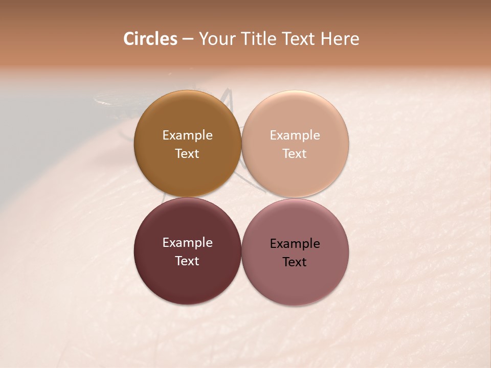 System Condition Conditioner PowerPoint Template