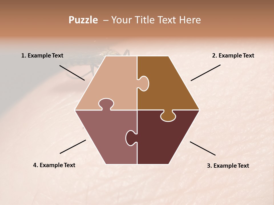 System Condition Conditioner PowerPoint Template
