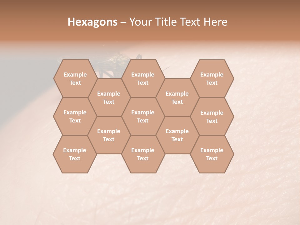 System Condition Conditioner PowerPoint Template