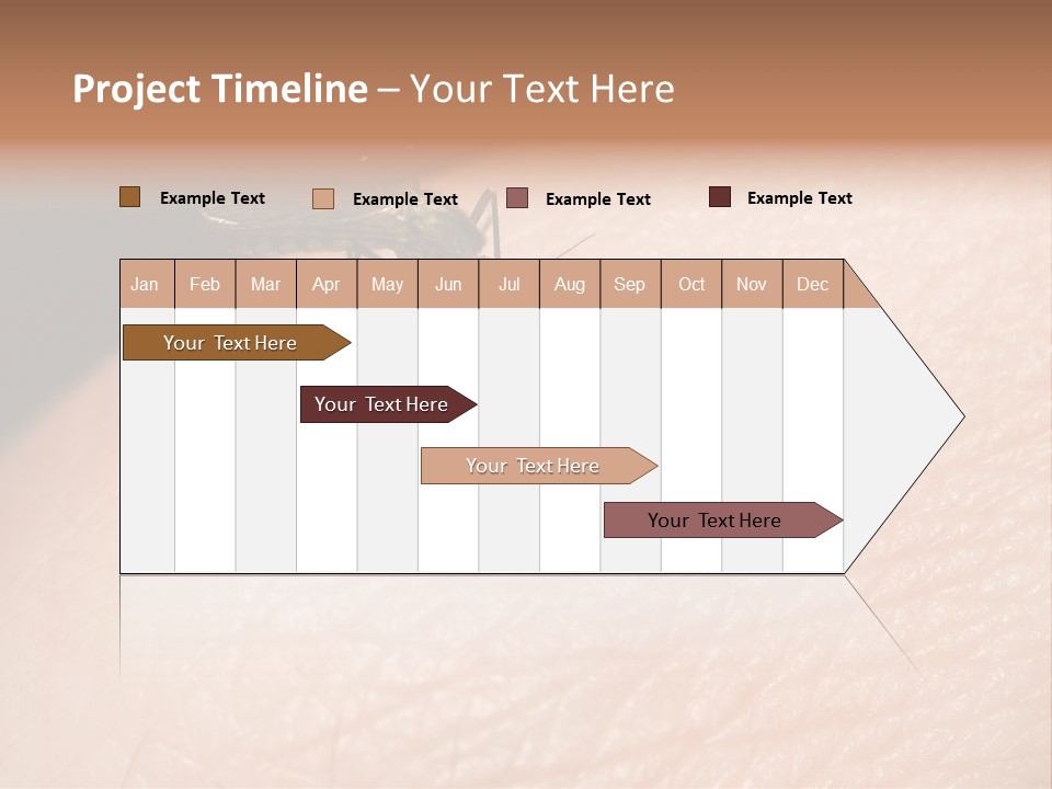System Condition Conditioner PowerPoint Template