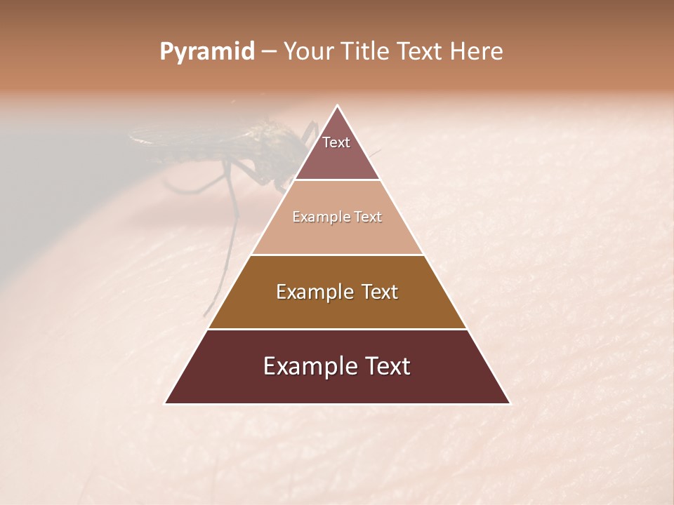 System Condition Conditioner PowerPoint Template