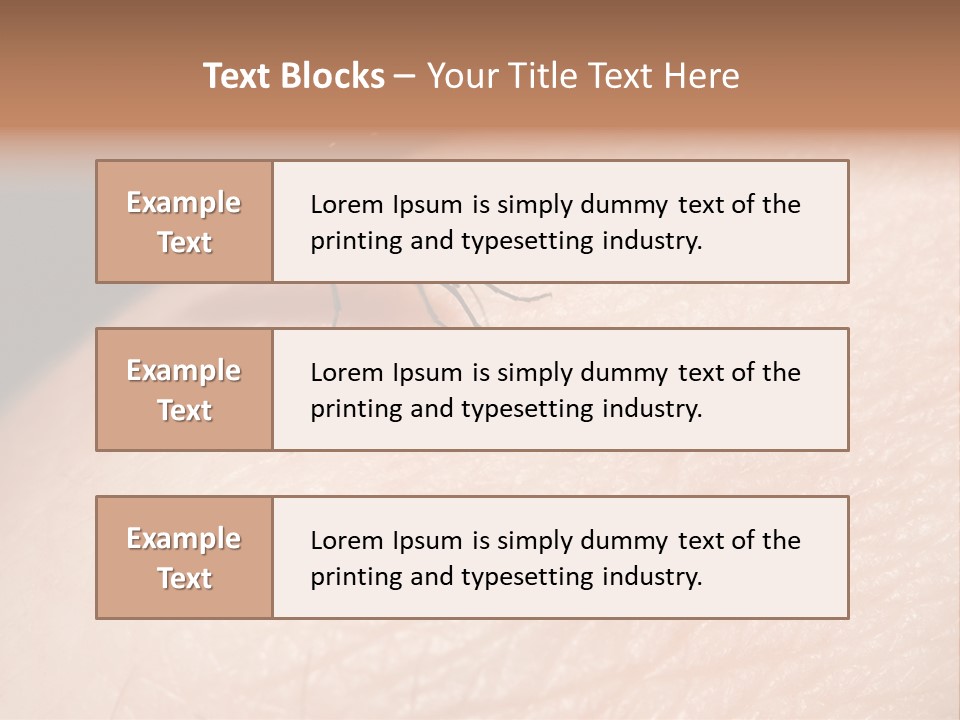 System Condition Conditioner PowerPoint Template