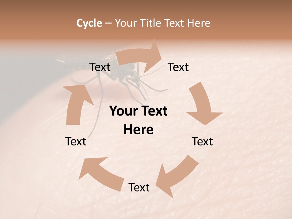 System Condition Conditioner PowerPoint Template