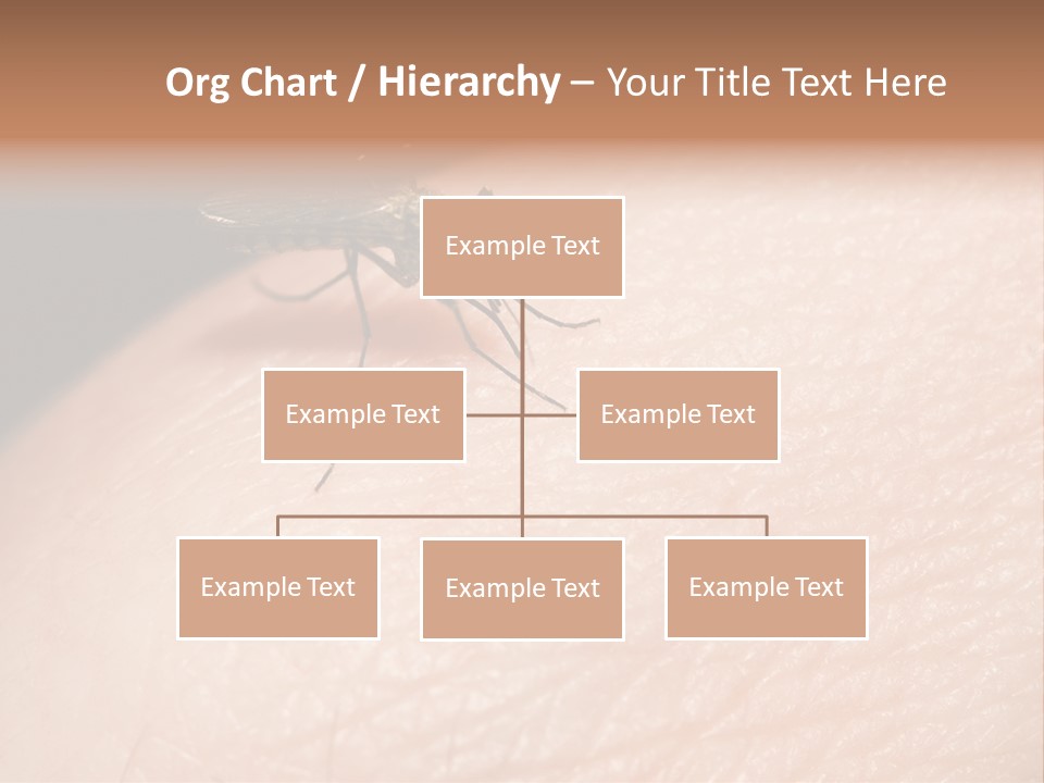 System Condition Conditioner PowerPoint Template