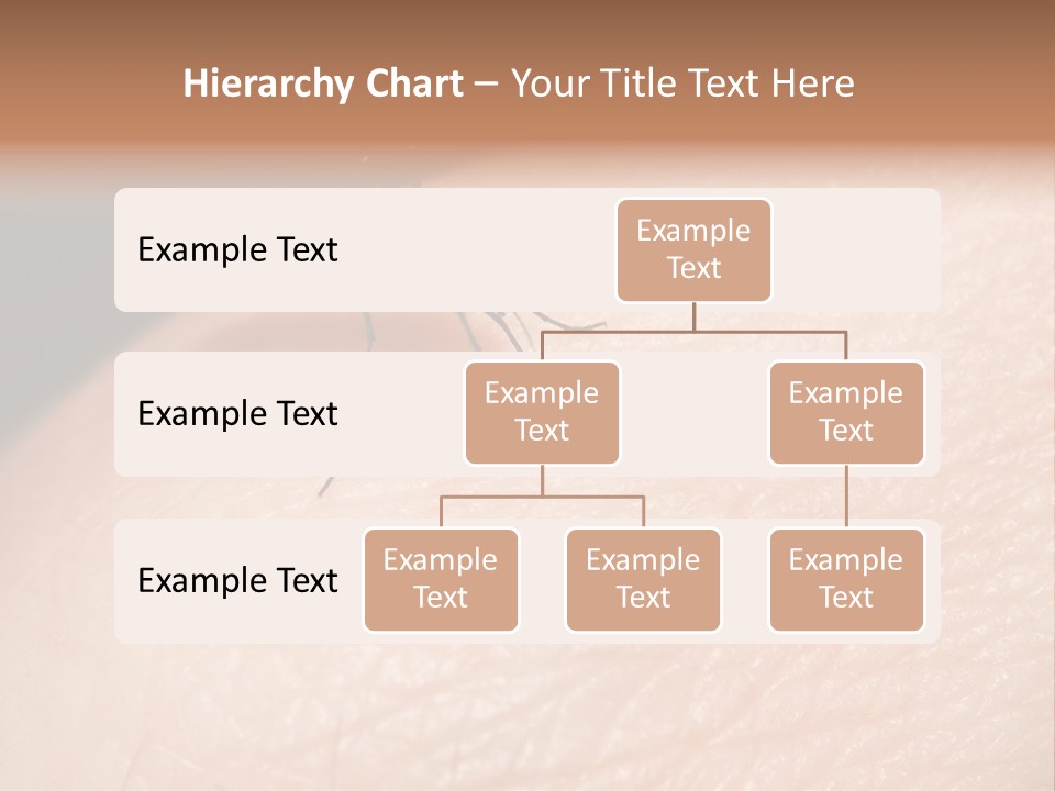 System Condition Conditioner PowerPoint Template