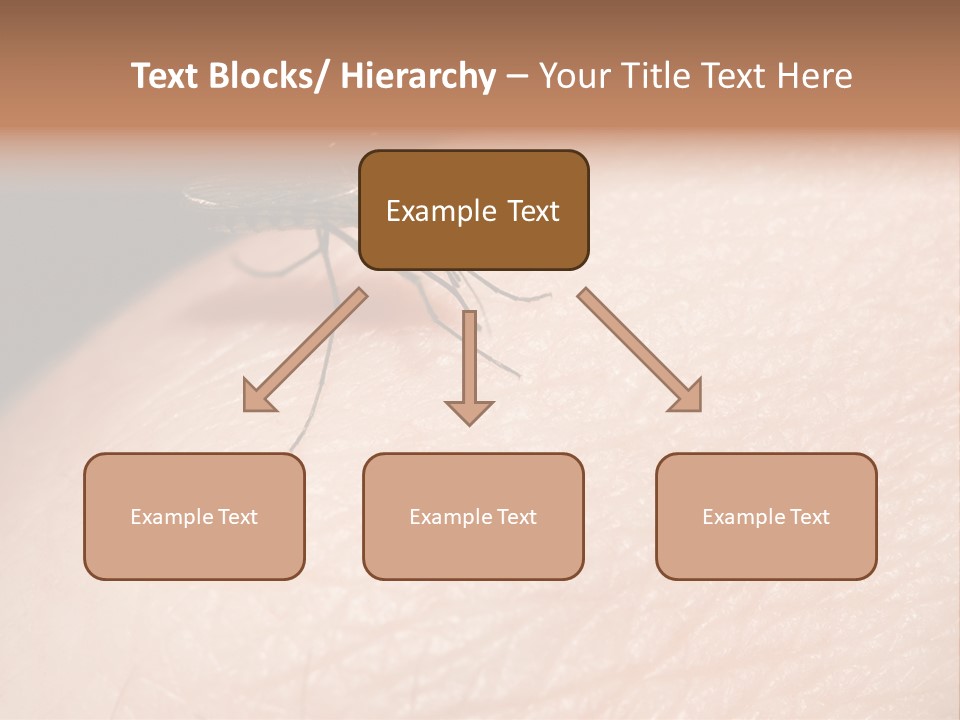 System Condition Conditioner PowerPoint Template