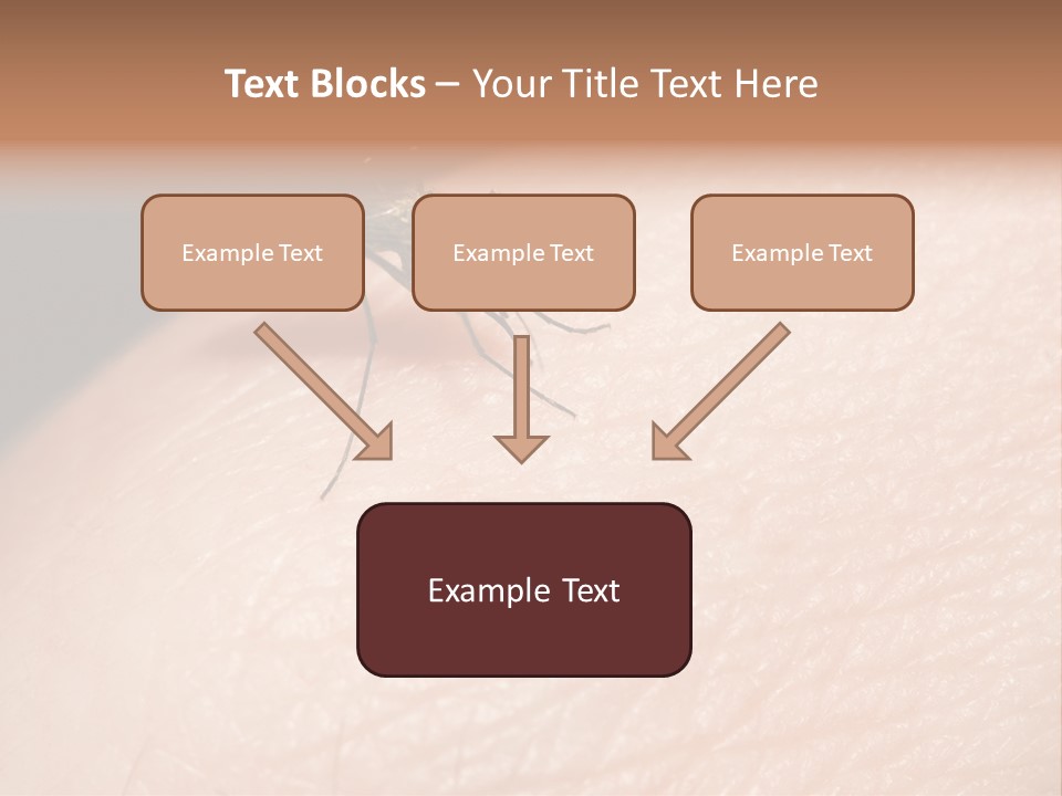System Condition Conditioner PowerPoint Template