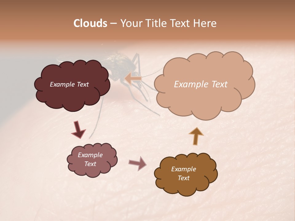 System Condition Conditioner PowerPoint Template