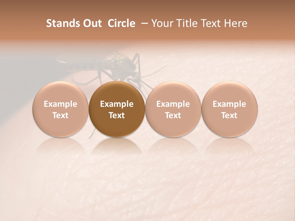 System Condition Conditioner PowerPoint Template