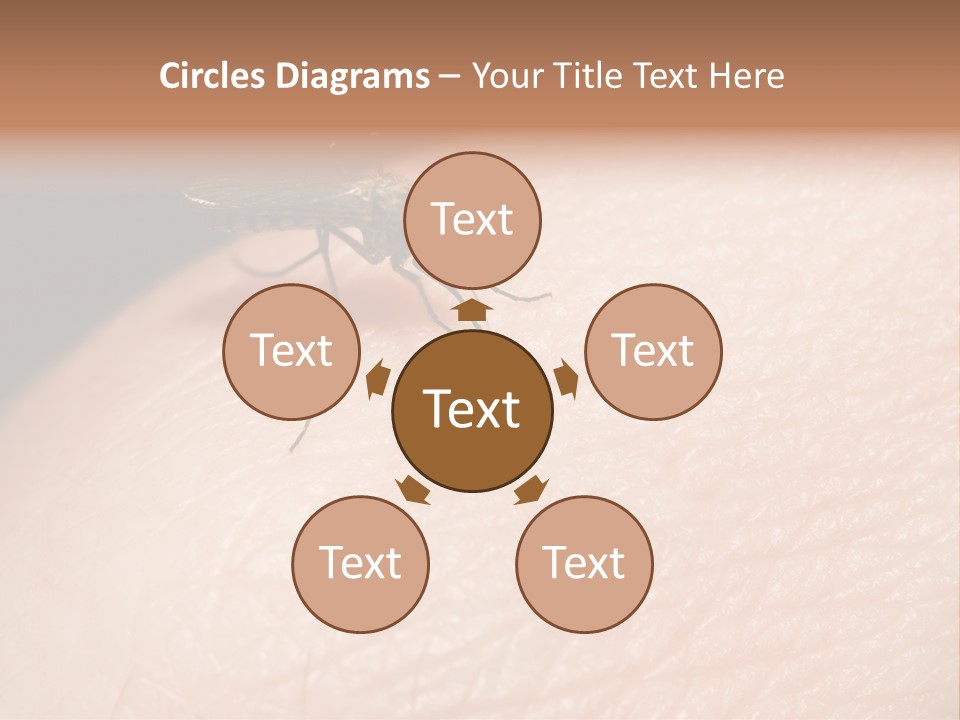 System Condition Conditioner PowerPoint Template