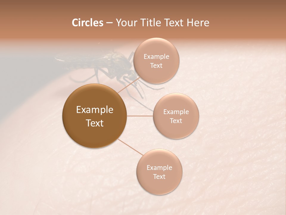 System Condition Conditioner PowerPoint Template