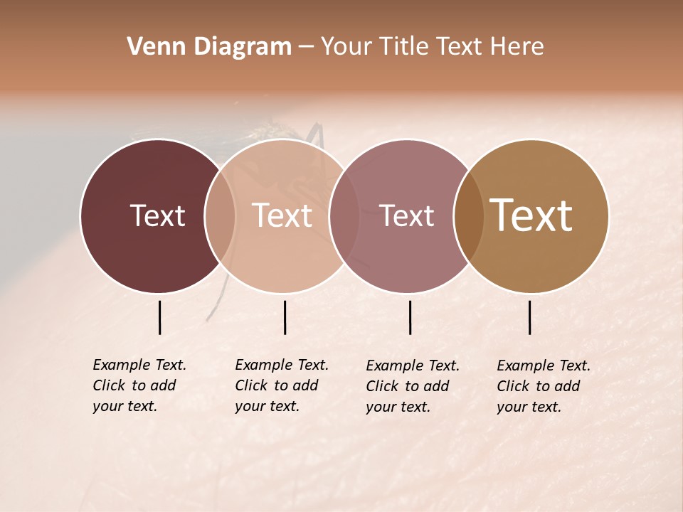 System Condition Conditioner PowerPoint Template