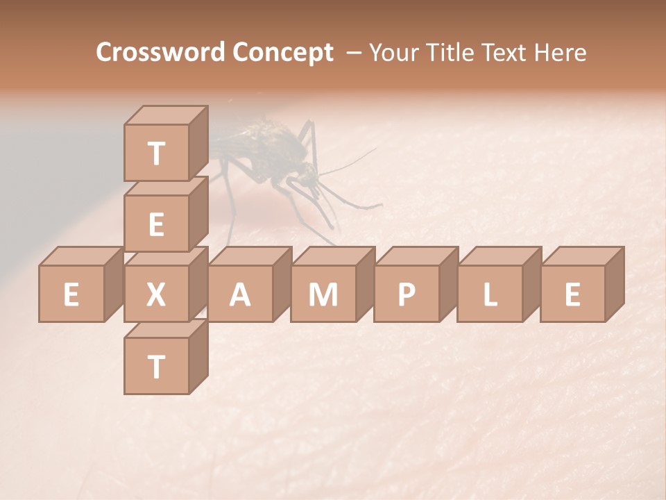 System Condition Conditioner PowerPoint Template