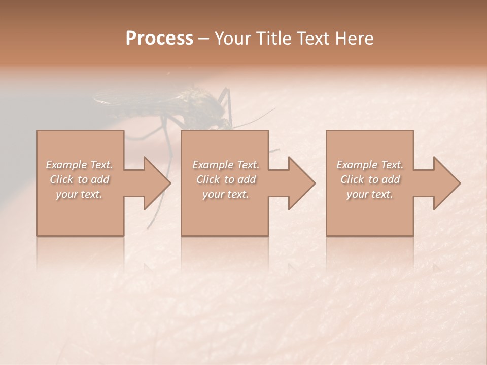 System Condition Conditioner PowerPoint Template