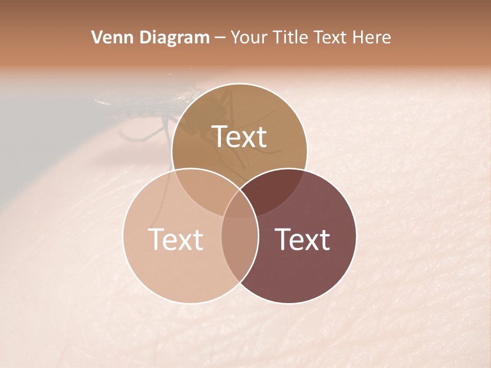 System Condition Conditioner PowerPoint Template