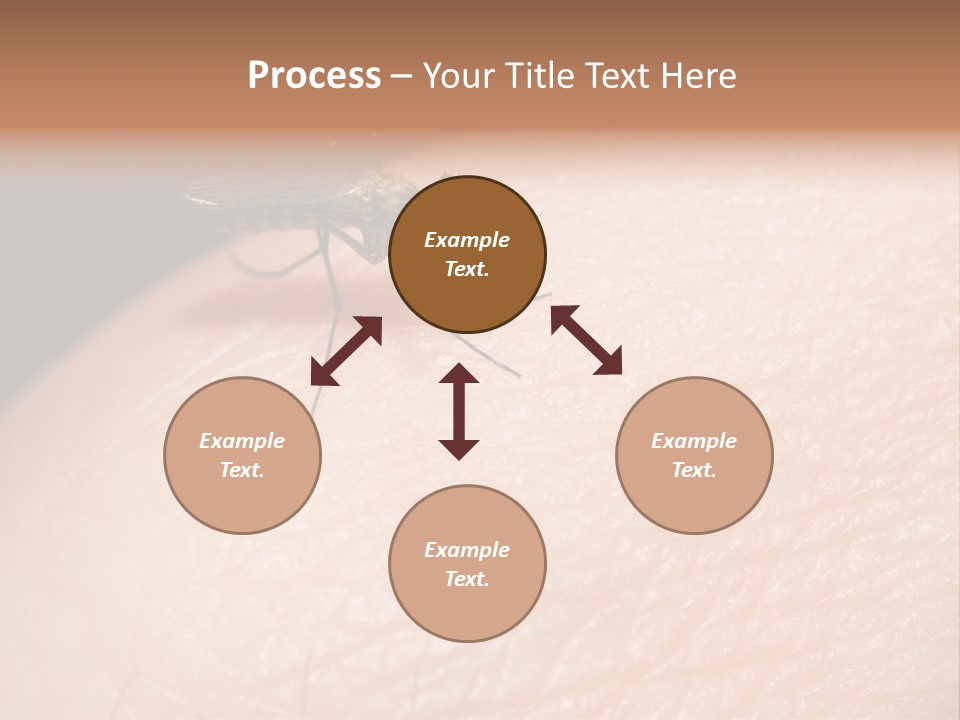 System Condition Conditioner PowerPoint Template
