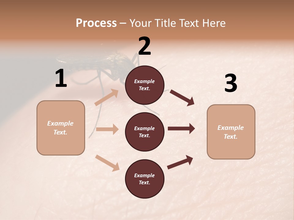 System Condition Conditioner PowerPoint Template