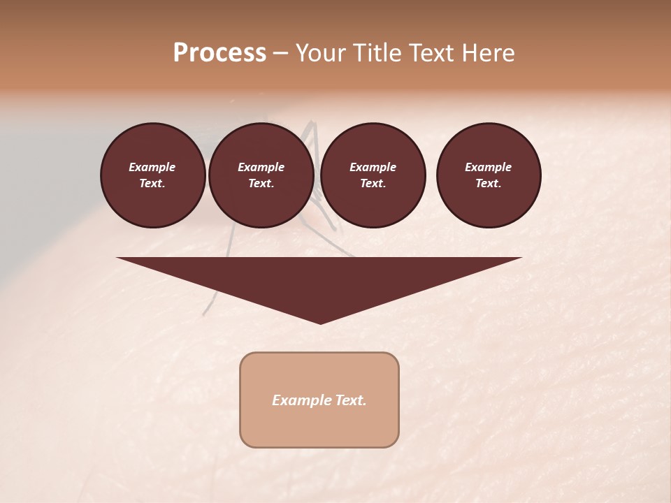 System Condition Conditioner PowerPoint Template