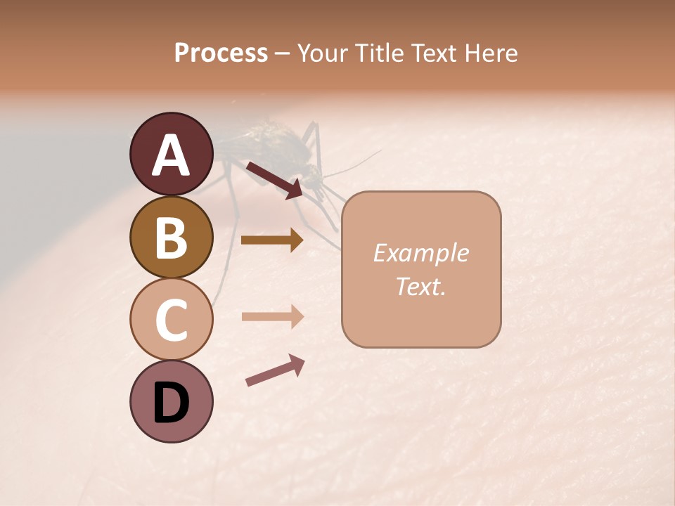 System Condition Conditioner PowerPoint Template