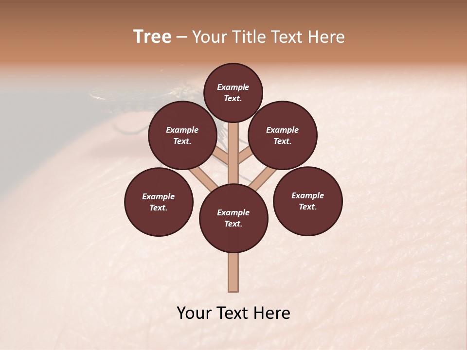 System Condition Conditioner PowerPoint Template