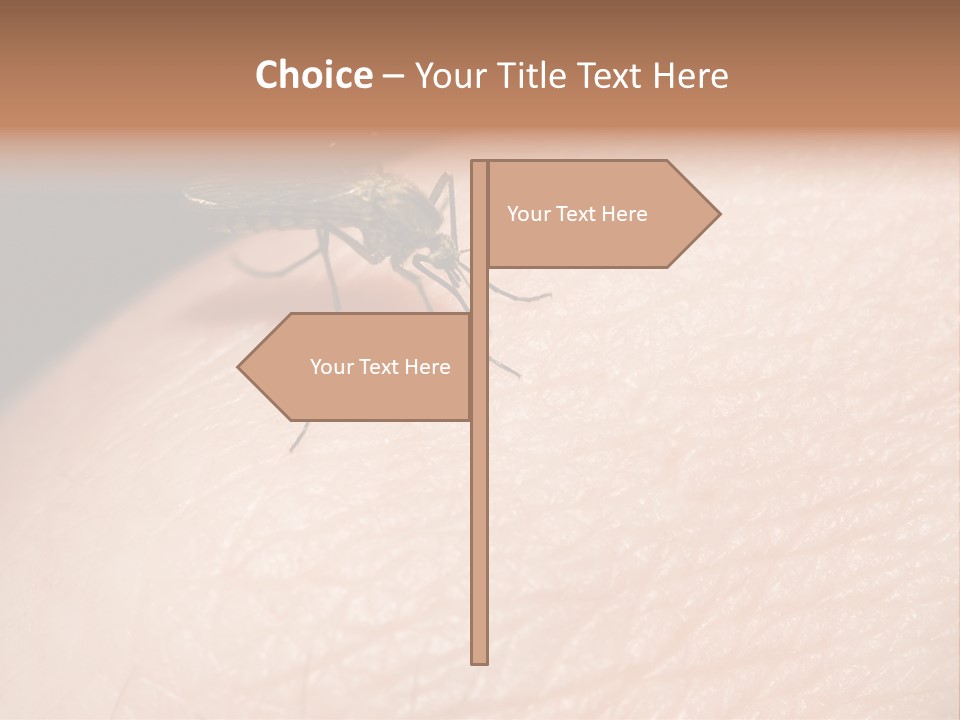System Condition Conditioner PowerPoint Template