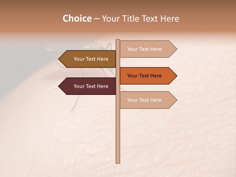 System Condition Conditioner PowerPoint Template