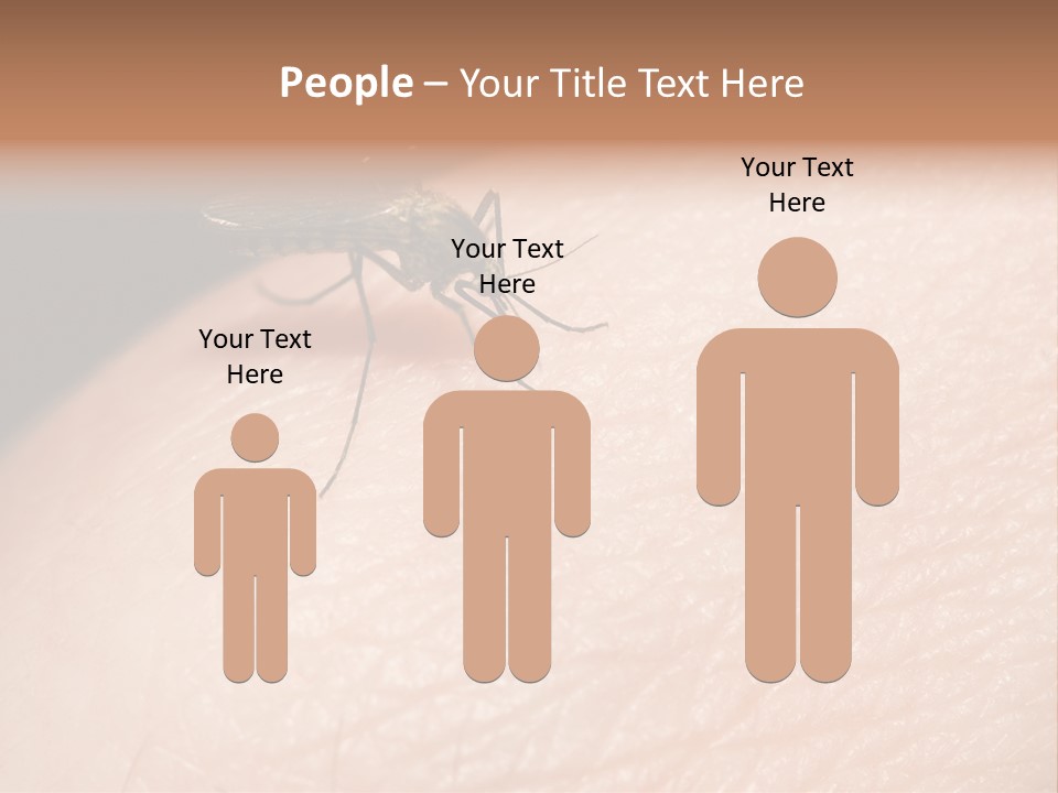 System Condition Conditioner PowerPoint Template