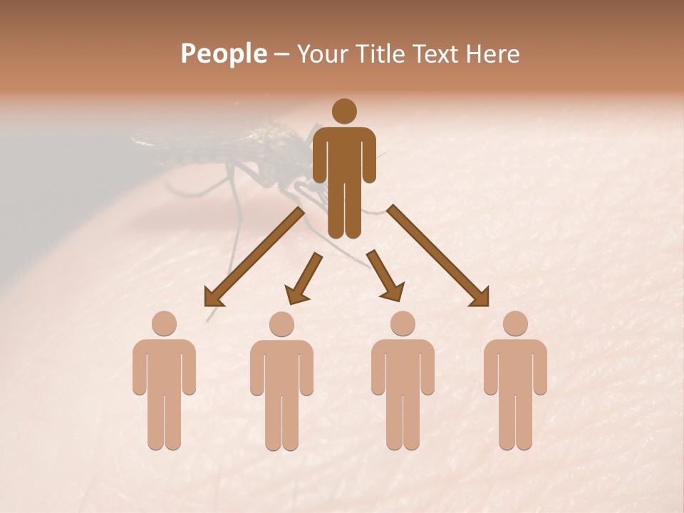 System Condition Conditioner PowerPoint Template