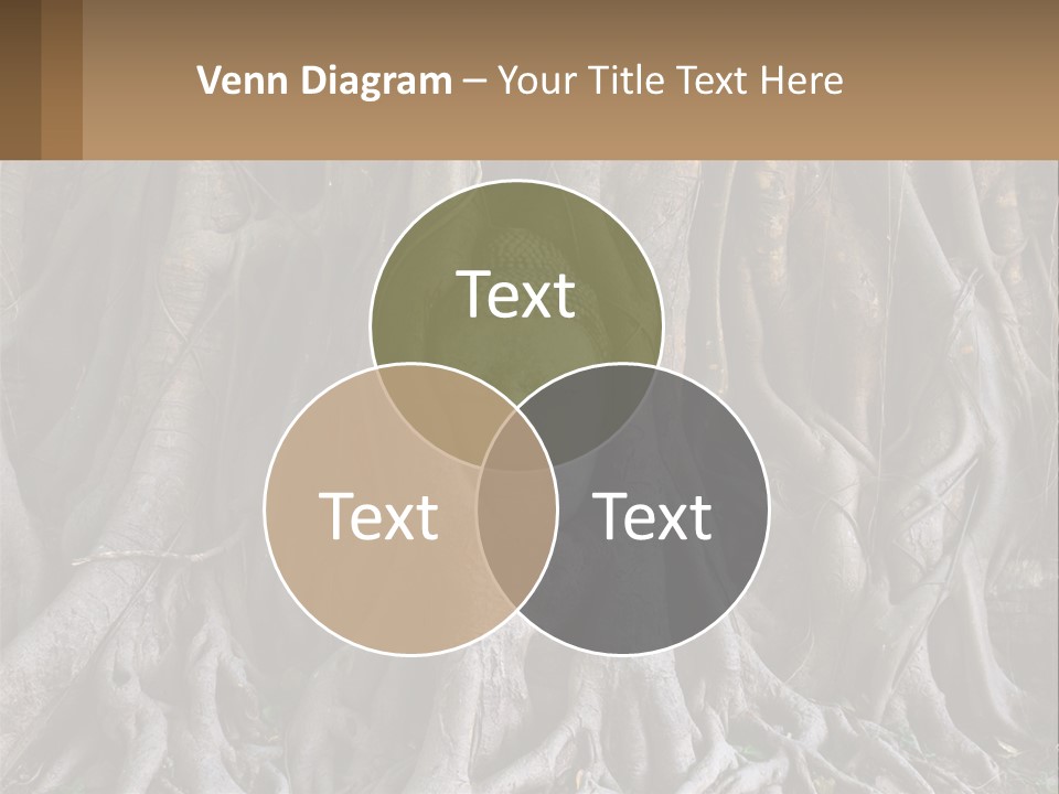 Condition Temperature White PowerPoint Template