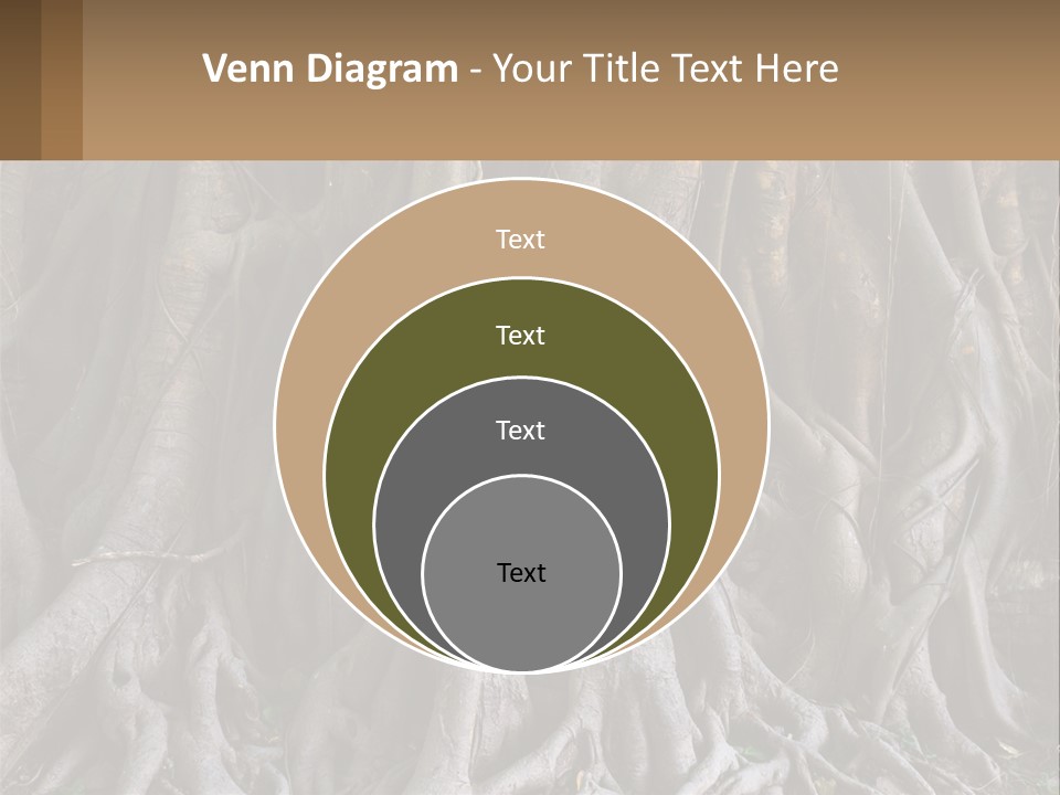 Condition Temperature White PowerPoint Template