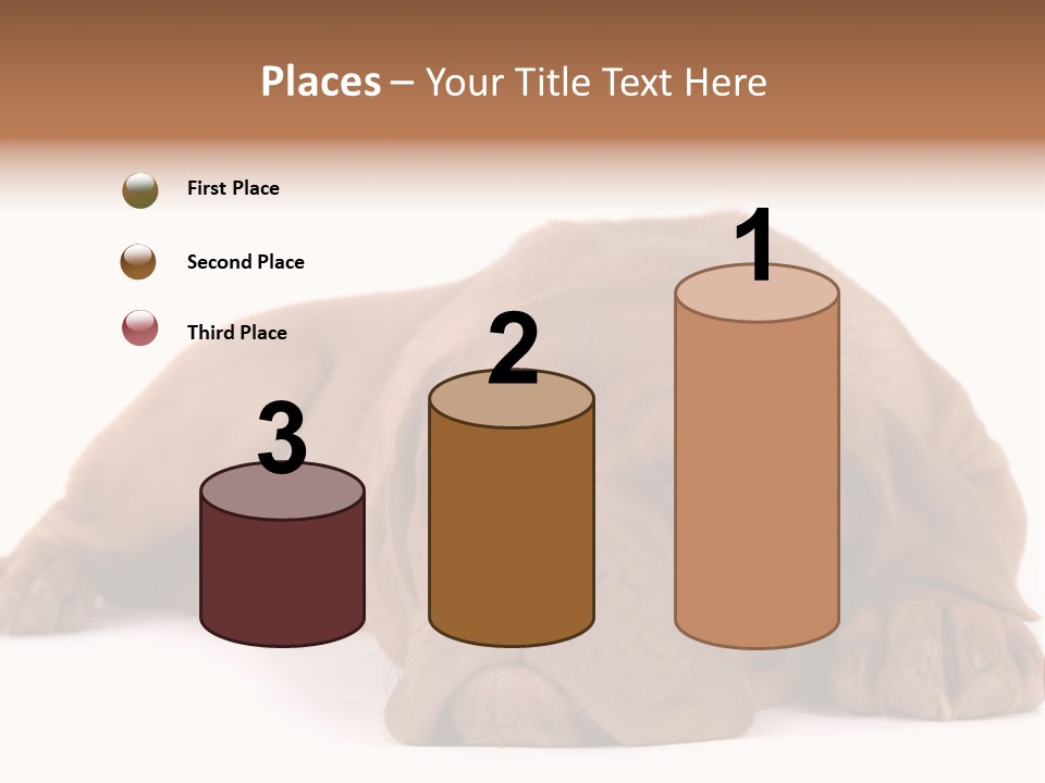 Equipment Part Ventilation PowerPoint Template