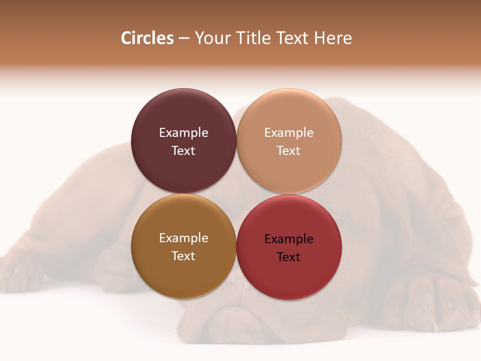 Equipment Part Ventilation PowerPoint Template