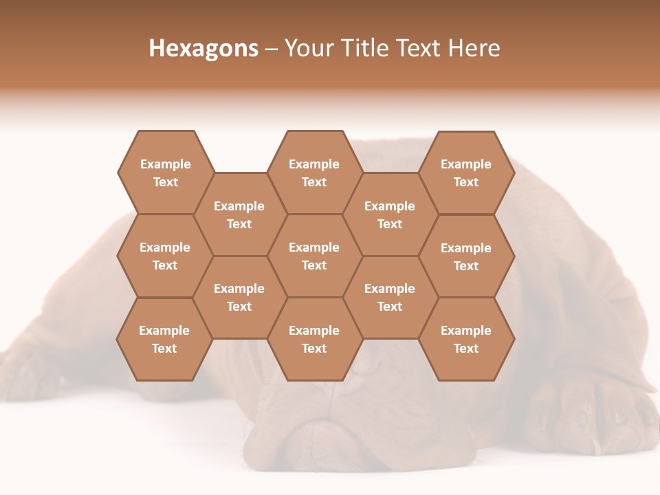 Equipment Part Ventilation PowerPoint Template