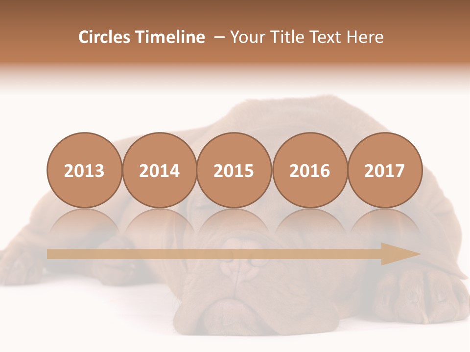 Equipment Part Ventilation PowerPoint Template