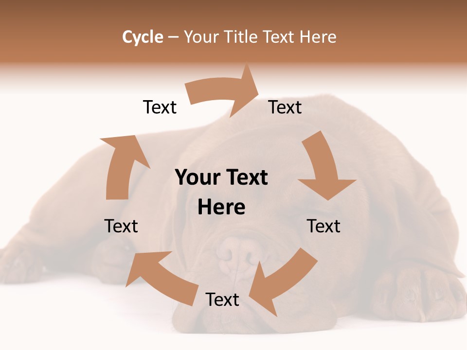 Equipment Part Ventilation PowerPoint Template