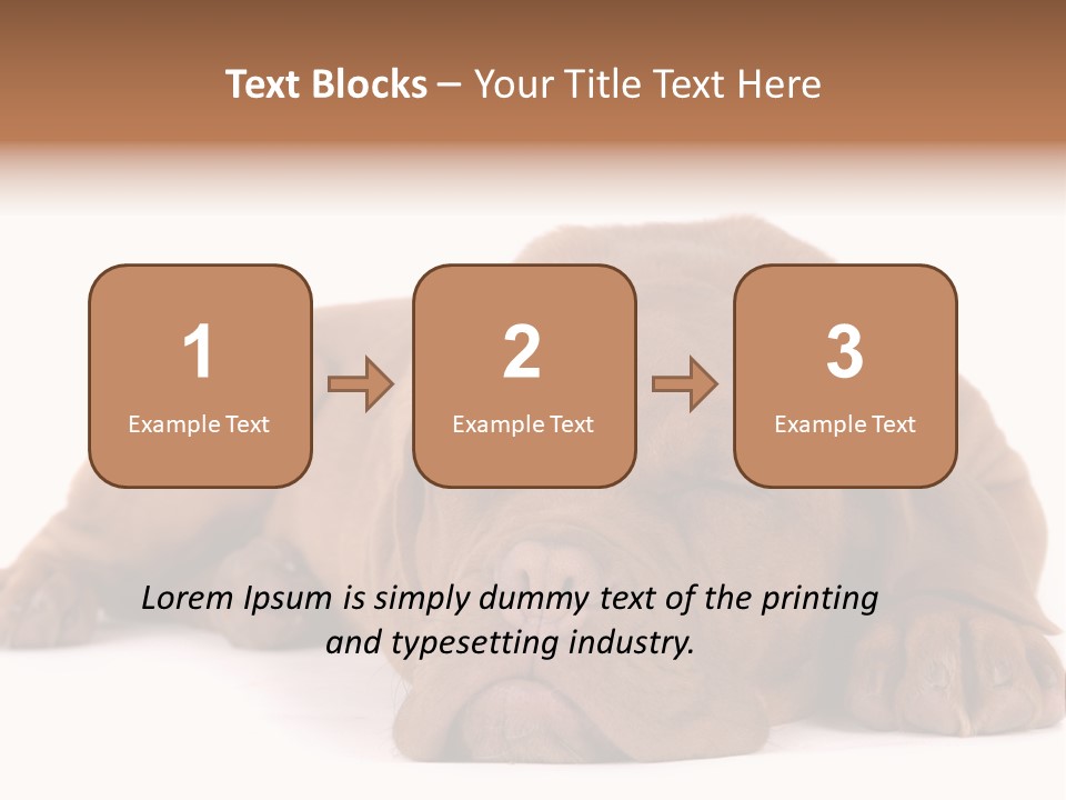 Equipment Part Ventilation PowerPoint Template