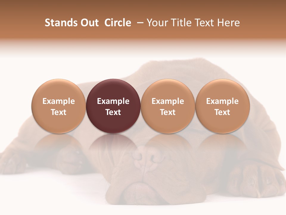 Equipment Part Ventilation PowerPoint Template