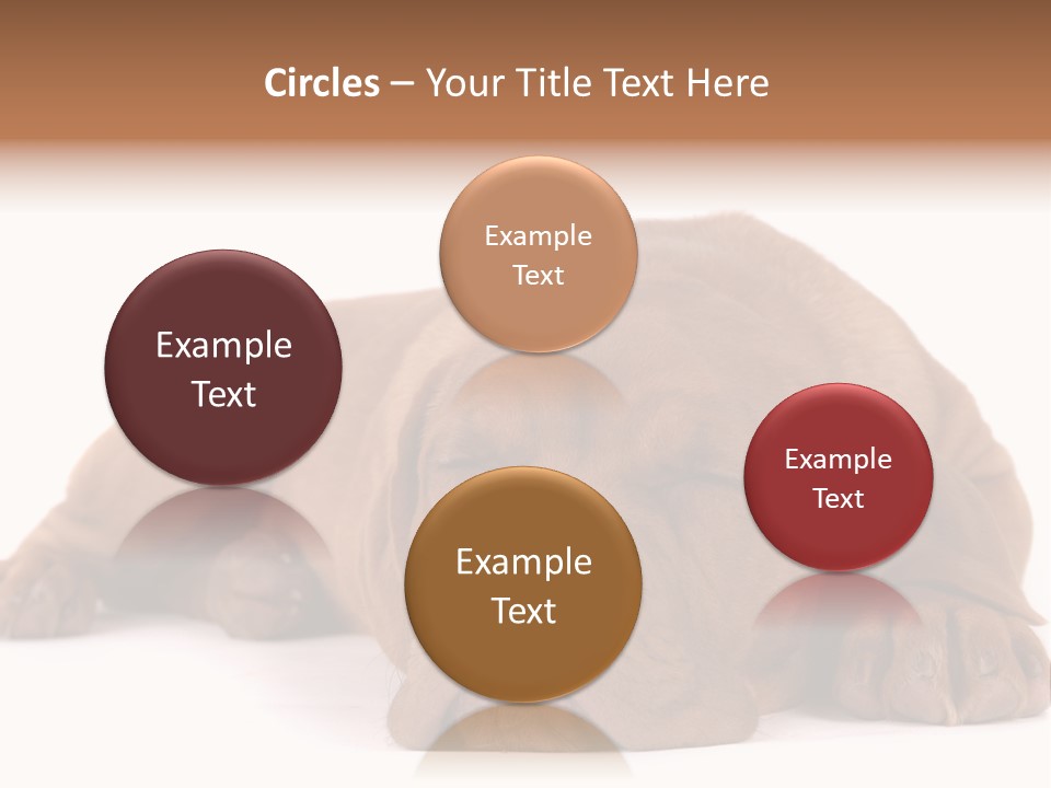 Equipment Part Ventilation PowerPoint Template